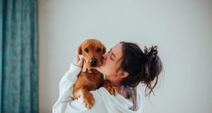 4 Steps to Help Your Pet Recover from Spay and Neuter Surgery 4 Steps to Help Your Pet Recover from Spay