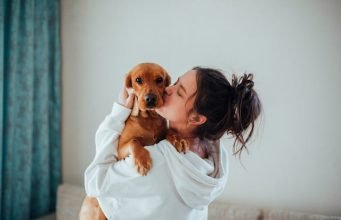 4 Steps to Help Your Pet Recover from Spay