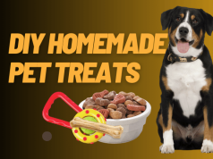 3 Delicious DIY Homemade Pet Treats: Recipes Your Pets Will Adore DIY Homemade Pet Treats