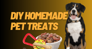 3 Delicious DIY Homemade Pet Treats: Recipes Your Pets Will Adore DIY Homemade Pet Treats