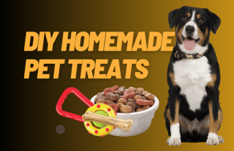 DIY Homemade Pet Treats