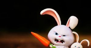 Healthy Rabbit Diet: Essential Tips for Optimal Nutrition Healthy Rabbit Diet Essential Tips for Optimal Nutrition