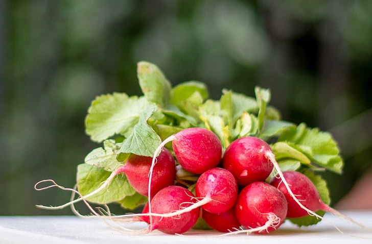 Healthy Rabbit Diet