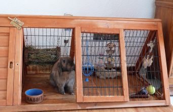 Perfect Indoor Rabbit Cage