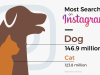 Are Cats or Dogs More Popular in the US?: Pet Supremacy Battle! Are Cats Or Dogs More Popular in the Us