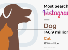 Are Cats or Dogs More Popular in the US?: Pet Supremacy Battle! Are Cats Or Dogs More Popular in the Us