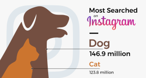Are Cats or Dogs More Popular in the US?: Pet Supremacy Battle! Are Cats Or Dogs More Popular in the Us