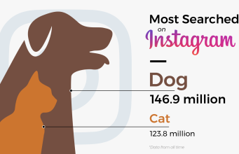 Are Cats Or Dogs More Popular in the Us