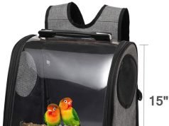 7 Best Bird Cages for Small Birds: Top Picks for Happy Pets Best Bird Cages for Small Birds: Top Picks for Happy Pets