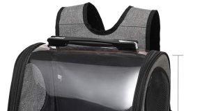 7 Best Bird Cages for Small Birds: Top Picks for Happy Pets Best Bird Cages for Small Birds: Top Picks for Happy Pets